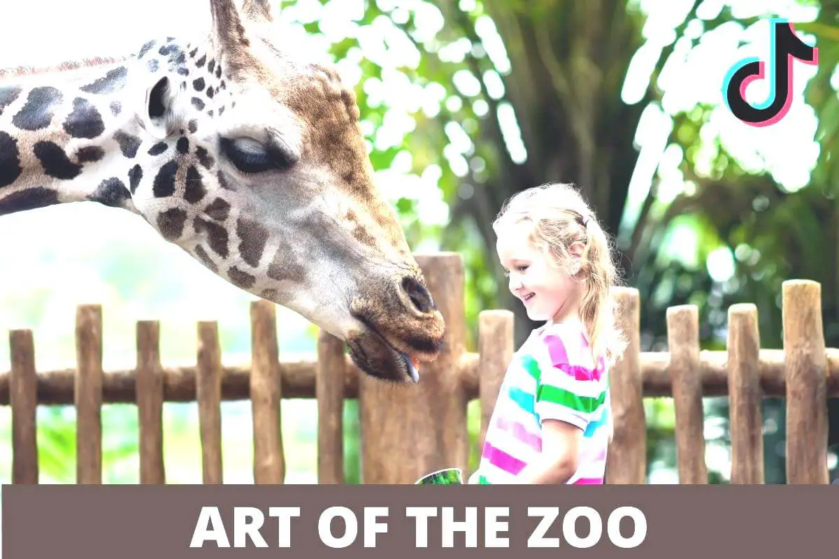 Art of Zoo, What is Art of Zoo??? ASRYK