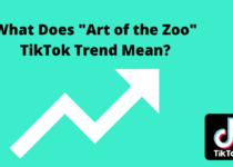 Art of Zoo