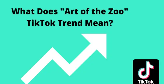 Art of Zoo