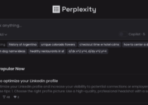 Perplexity.ai